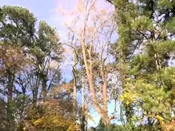 Chaturbate slimmmgooodiexoxo is Freechat slimmmgooodiexoxo — SUPPORT YOUR FAV