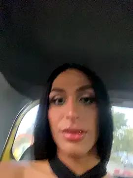 Freechat amal_baddell on StripChat