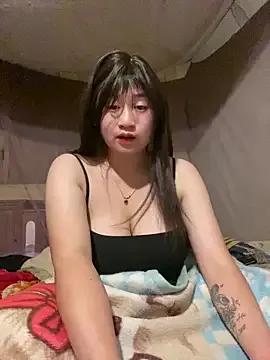 Freechat ha-cute on StripChat