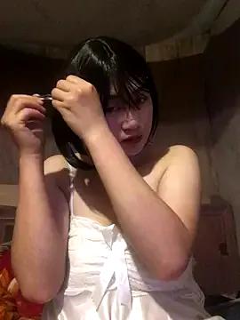 Freechat ha-cute on StripChat
