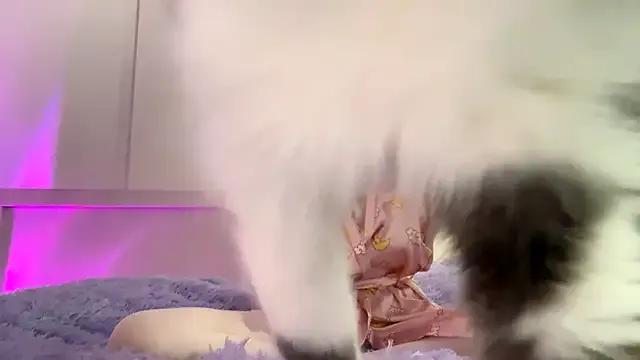 Freechat Vanessa_foxiii on StripChat