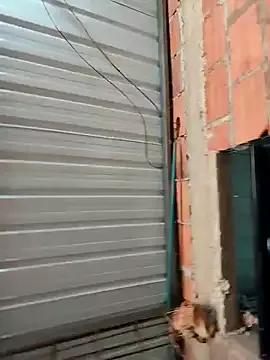 StripChat Zoe_Sweett18 is Freechat Zoe_Sweett18 — naked finger in the ass